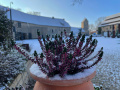 Gesegnete Weihnachten!