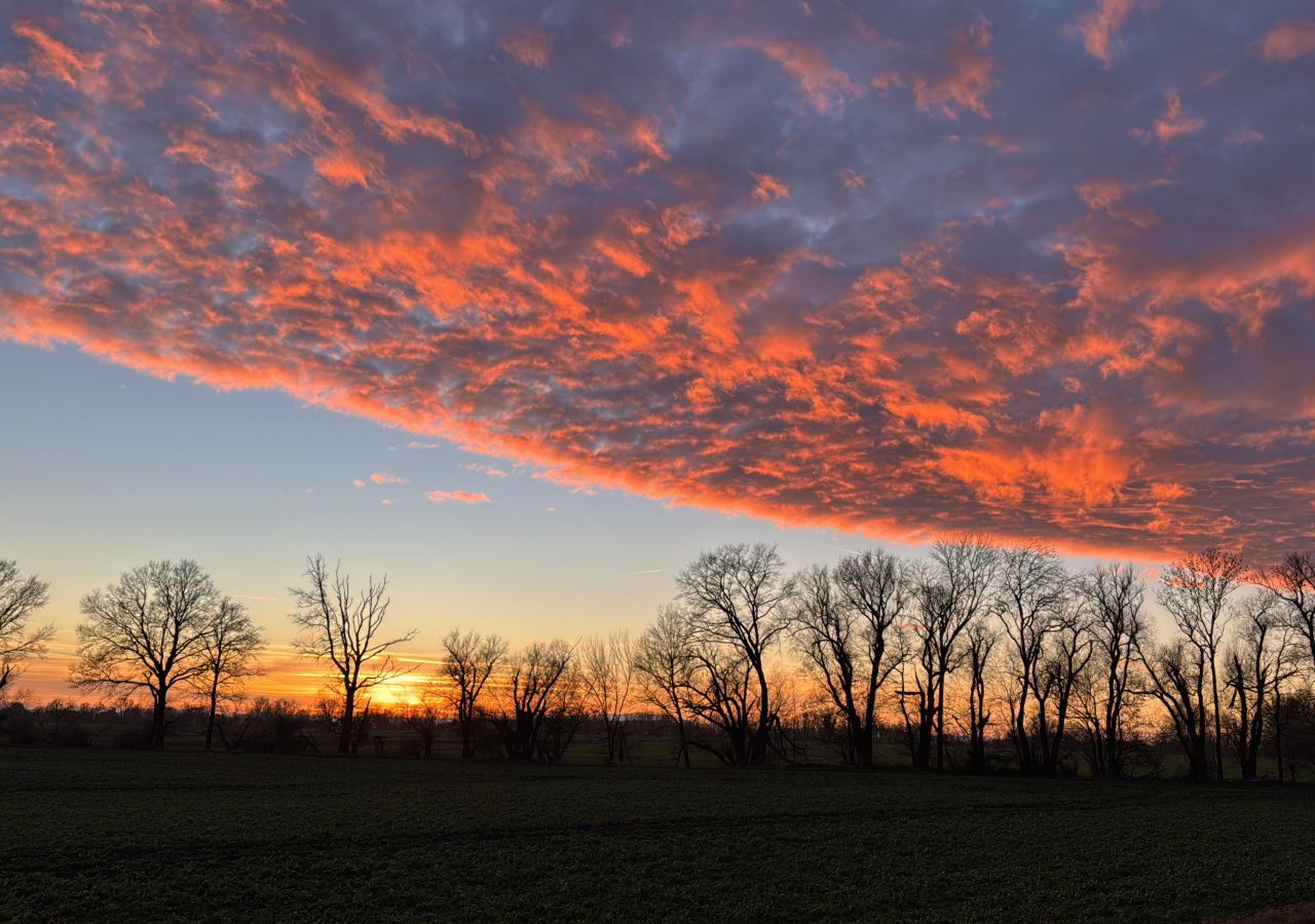 Ein friedvolles & gesundes