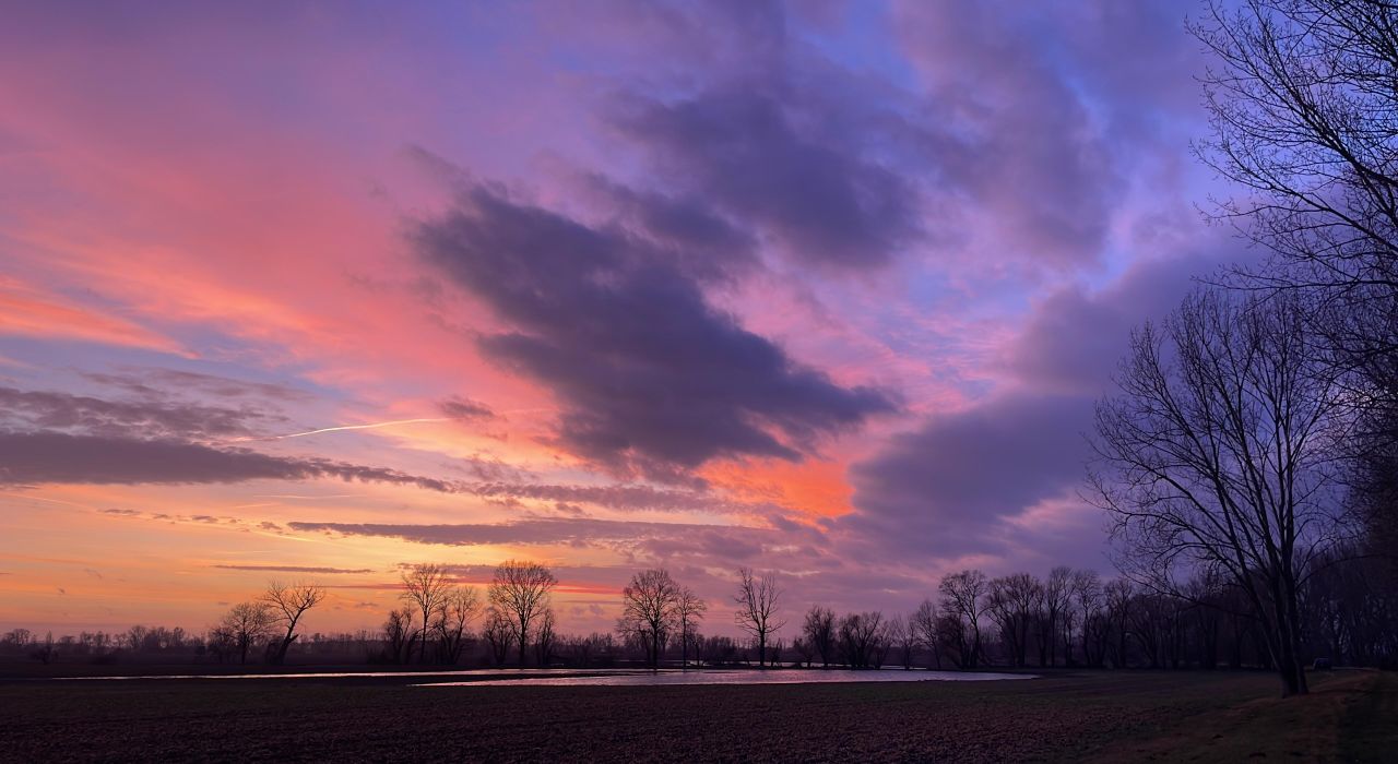 November in der Magdeburger Börde