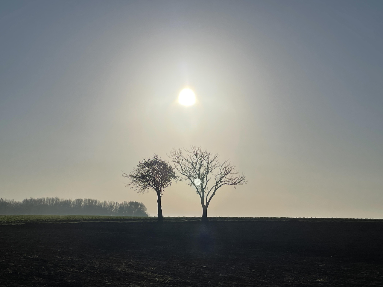 Herbststimmung auf den Feldern in der Magdebuger Börde